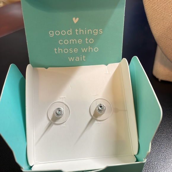 Origami Owl ER3098 Laguna Delite earrings - Picture 3 of 4